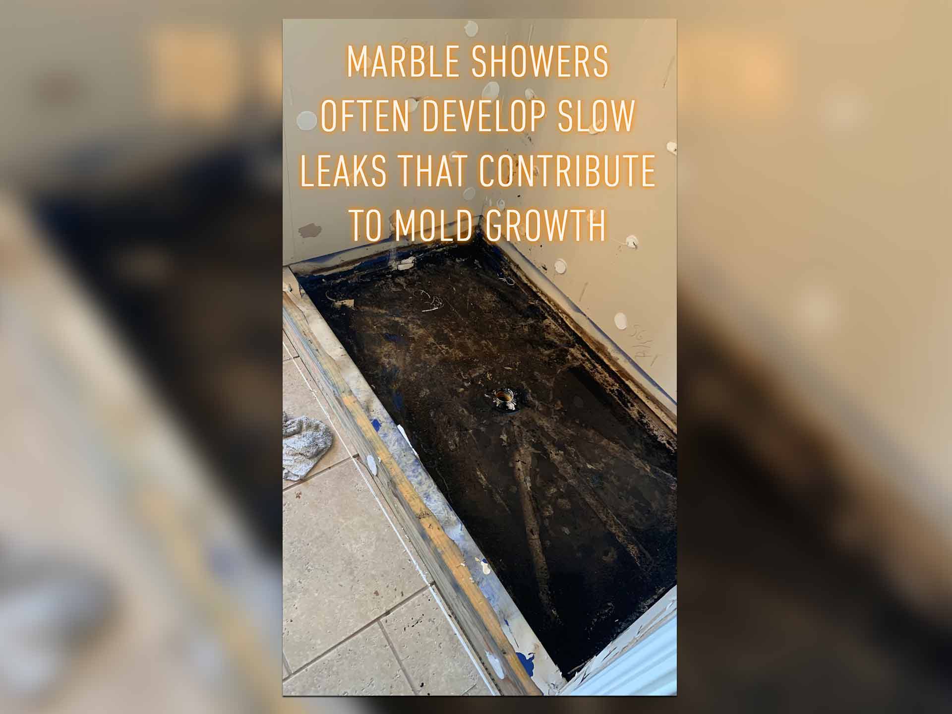 This marble shower developed a slow leak, which contributed to mold growth.